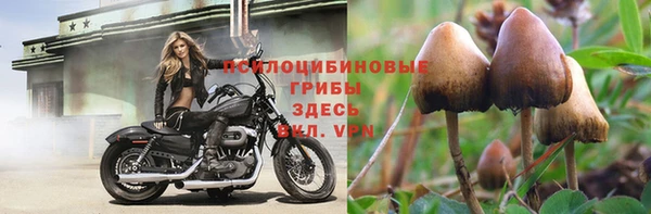 прущие крисы Заволжье