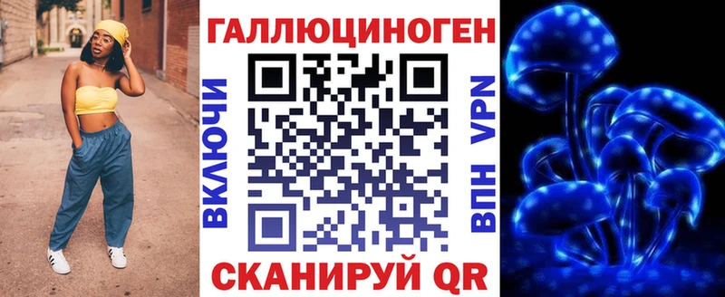 Купить где  Купино  Псилоцибиновые грибы Psilocybine cubensis 